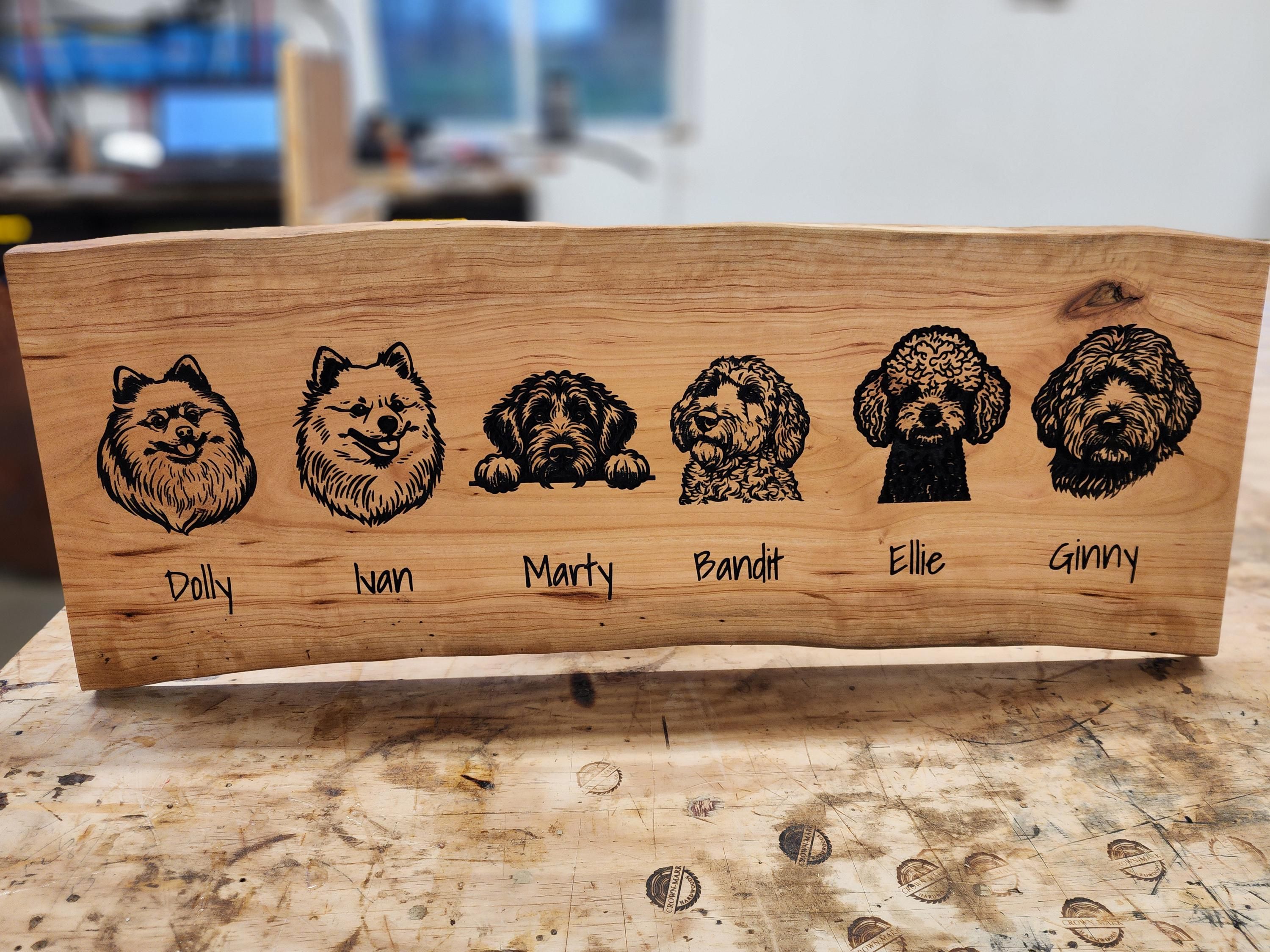Pet & Specialty Gifts